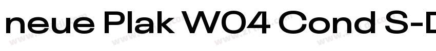 neue Plak W04 Cond S字体转换